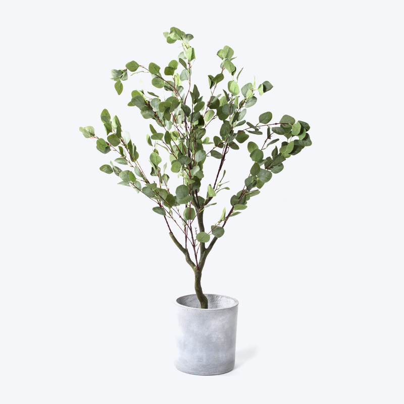 Planta verde falsa e vaso Eucalyptus-s