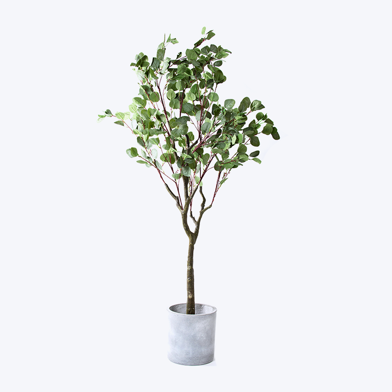 Planta verde falsa e vaso Eucalyptus-m